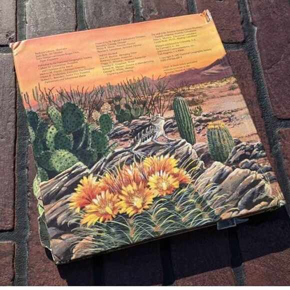 Creatures Of The Desert World National Geographic Pop Up Book Vintage 1987 - Picture 3 of 4